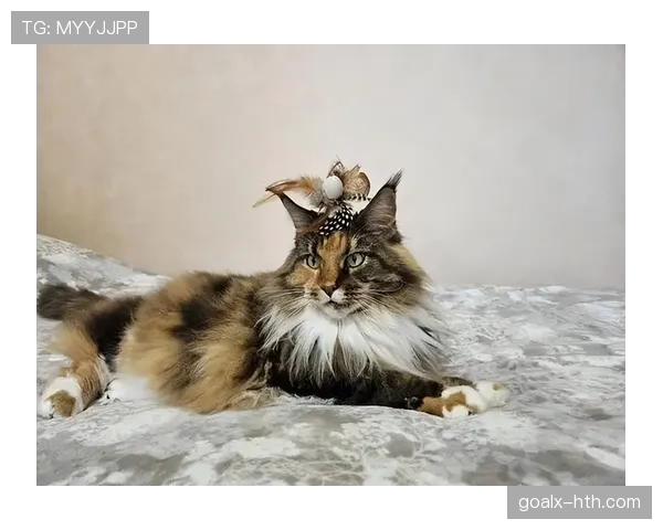 袁悦这生活，工资卡都快养不起她的猫了？